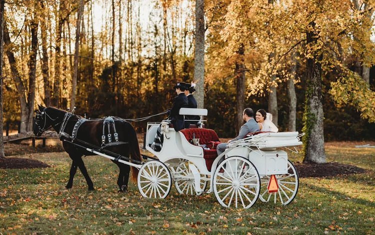 A horse-drawn carriage at Alturia Farm
